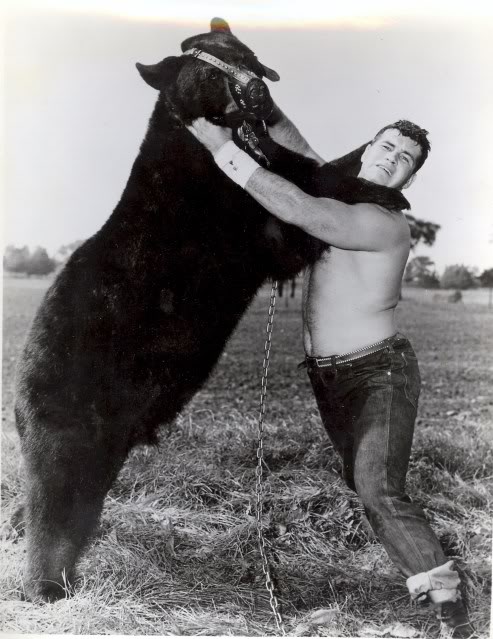 Image result for bear wrestling